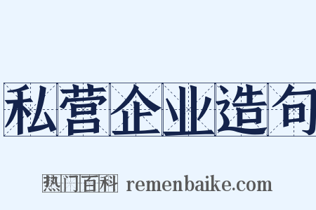 私营企业造句是什么意思的图片